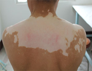 ���Ԥ�������Ͱ����?